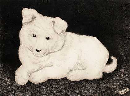 狙击手，白色小狗`Sneggie, White Puppy (1932) by Hjalmar Hagelstam