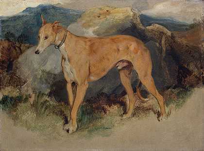猎犬`A Deerhound (1826) by Sir Edwin Henry Landseer