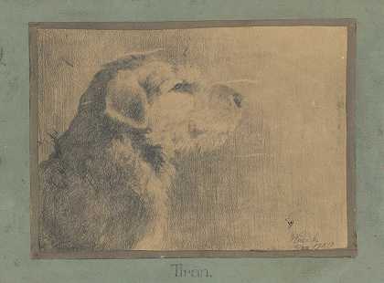 狗拉`Dog Tirán (1920) by Arnold Peter Weisz-Kubínčan