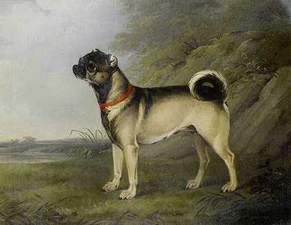 最受欢迎的哈巴狗婊子`A Favourite Pug Bitch (1802) by Henry Bernard Chalon