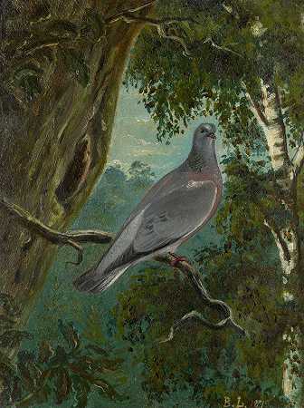 鸽`Stock Dove (1879) by Bruno Liljefors