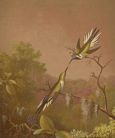 巴西蜂鸟II`Brazilian Hummingbirds II by Martin Johnson Heade