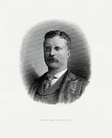 西奥多·罗斯福总统`President Theodore Roosevelt by The Bureau of Engraving and Printing