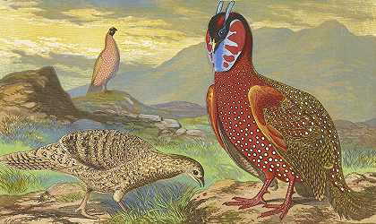 角雉`Horned Pheasants (1871) by Thomas Waterman Wood