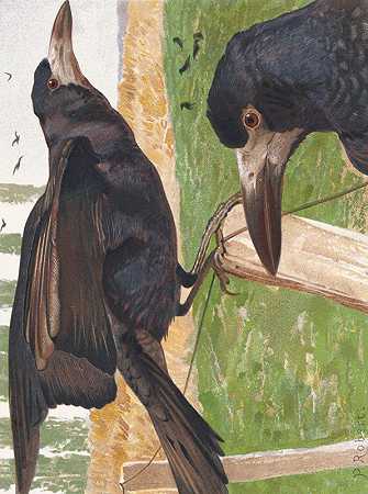 弗雷克斯（乌鸦）`Freux (corbeau) (1880) by Léo-Paul Robert