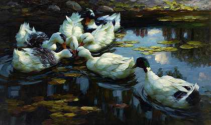 鸭池`The Duck Pond by Alexander Koester