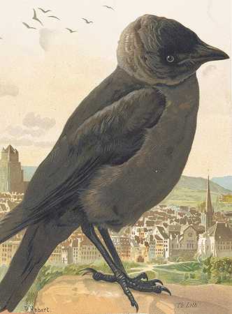 卷心菜（乌鸦）`Choucas (corbeau) (1880) by Léo-Paul Robert