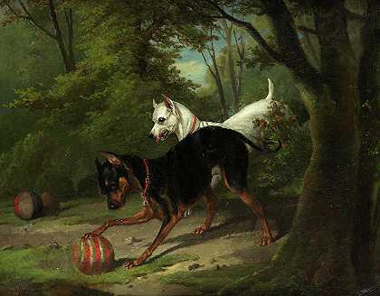 玩球的狗`Dogs playing with ball by Alfred de Dreux