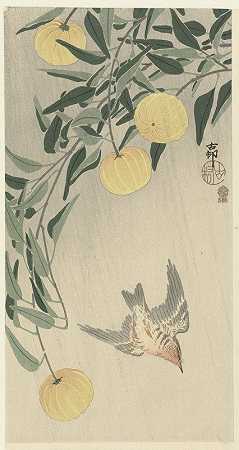 雨中杜鹃`Cuckoo in the rain (1900 ~ 1910) by Ohara Koson
