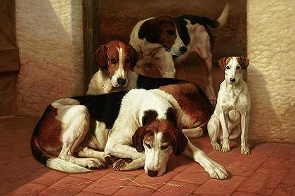 猎狐犬和猎犬`Foxhounds and a terrier by Edward Algernon Stuart Douglas