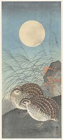满月时两只鹌鹑`Two quail at full moon (1900 ~ 1936) by Ohara Koson