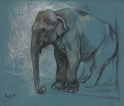 大象的研究`Study of an Elephant by John Macallan Swan