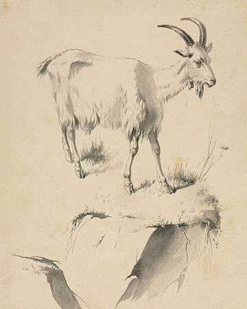 山羊的研究`Study of a Goat (1700s) by Jean-Jacques de Boissieu