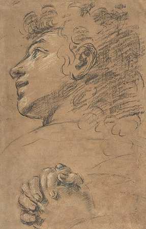 从左上角观察一个年轻人的头部轮廓，研究紧握的双手`Profile Head of a Youth Looking to Upper Left, and Study of Clasped Hands (1577–1660) by Giacomo Cavedone