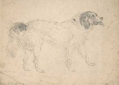 一只朝右的牧羊犬的研究`Study of a Herding Dog Facing Right (1810) by Sir Edwin Henry Landseer