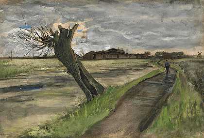 波拉德·威洛`Pollard Willow by Vincent Van Gogh