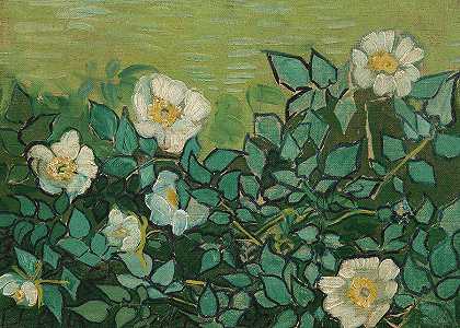 野玫瑰`Wild Roses by Vincent Van Gogh