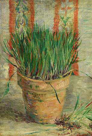 韭菜花盆`Flowerpot with Garlic Chives by Vincent Van Gogh