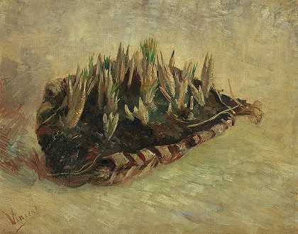一篮番红花球茎`Basket of Crocus Bulbs by Vincent Van Gogh