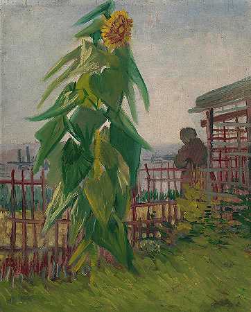 向日葵配种`Allotment with Sunflower by Vincent Van Gogh