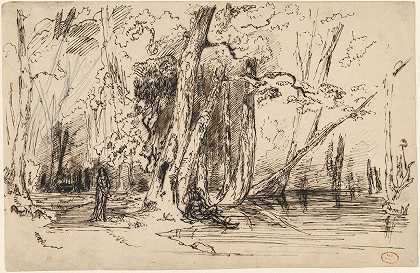 塞金岛森林中的洪水`Flooding in the Forest of the Ile Séguin (c. 1833) by Paul Huet