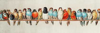 1880年的《栖息的鸟》`A Perch of Birds, 1880 by Hector Giacomelli