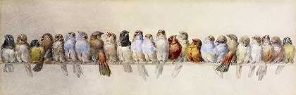 鸟栖地`Perch of Birds by Hector Giacomelli