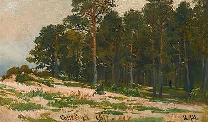 松林`Pine Forest (1872) by Ivan Ivanovich Shishkin
