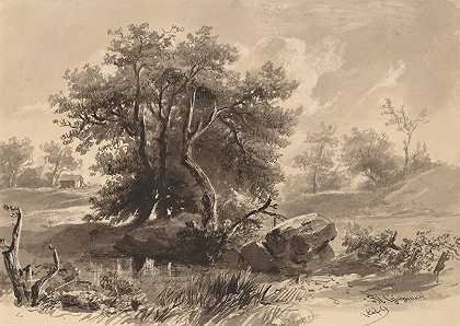 纽约贝德福德的树林`The Trees,Bedford,New York (1849) by Régis François Gignoux