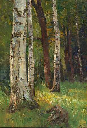 桦树林`A Birch Forest by Gertrud Staats