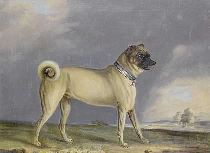 哈巴狗`A Pug Dog (1802) by Henry Bernard Chalon