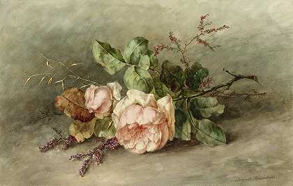 玫瑰，·Roses, 19th Century by Margaretha Roosenboom