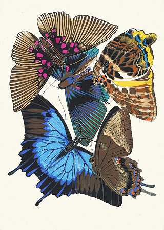 Papillons，第16页`Papillons, Pl. 16 (1925) by Emile-Allain Séguy