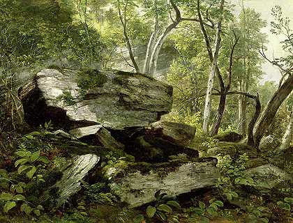 从大自然、岩石和树木中学习`Study from Nature, Rocks and Trees by Asher Brown Durand