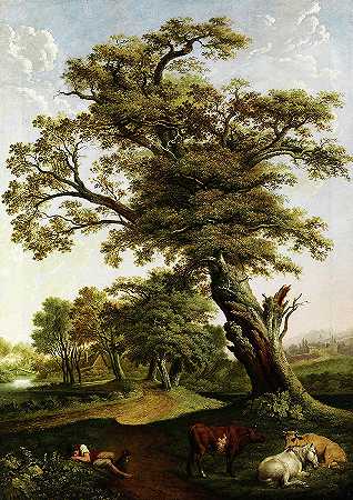 橡树`Oak by Hendrik Voogd