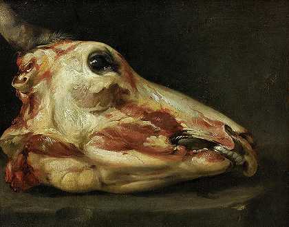 剥皮的公牛头`Skinned Head of a Young Bull by Felice Boselli