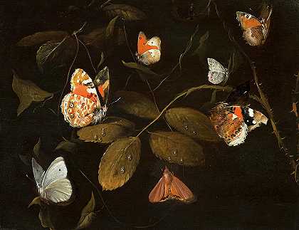 1690年，玫瑰枝上有六只蝴蝶和一只飞蛾`Six Butterflies and a Moth on a Rose Branch, 1690 by William Gouw Ferguson