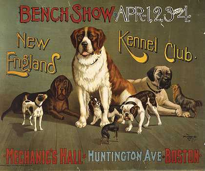 替补秀。新英格兰犬舍俱乐部`Bench show. New England Kennel Club (1890)