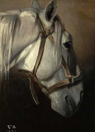 《白马的头》，1850年`Head of the white horse, 1850 by Leon Joseph Florentin Bonnat