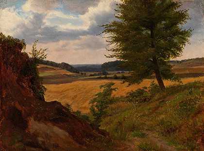 田间树木景观，研究`Tree In Field Landscape, Study (1854) by Werner Holmberg