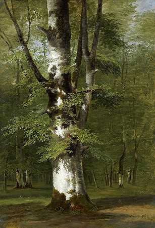 对一棵树的研究`A Study of a Tree by Achille Etna Michallon