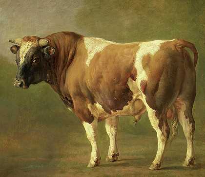 公牛研究，1867年`Study of a Bull, 1867 by Jacques Raymond Brascassat