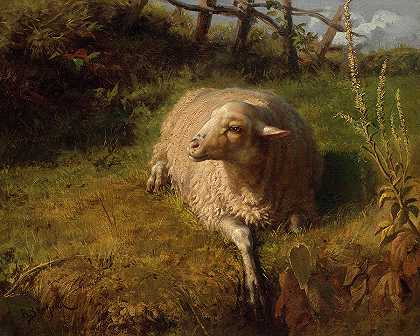羊`Sheep by Rosa Bonheur