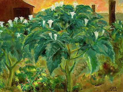夜花，1930年`Night Flower, 1930 by John Steuart Curry