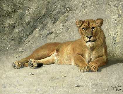 母狮子休息，1885年`Lioness Resting, 1885 by Jan van Essen