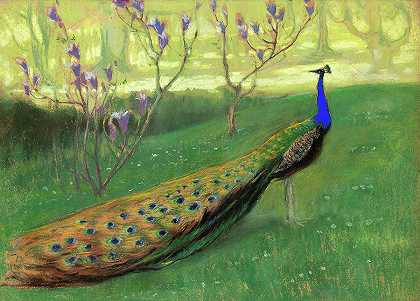 雄孔雀`Peacock by Kazimierz Stabrowski