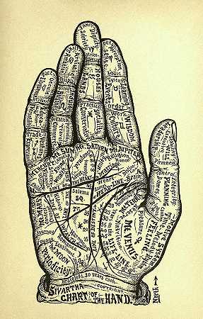 手绘图`Chart of The Hand by Alesha Sivartha