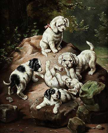 小狗`Puppies by Carl Reichert