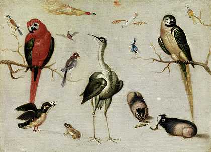 外来动物`Exotic Animals by Jan van Kessel