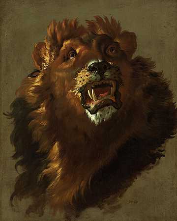 1750年的狮子`Lion, 1750 by Giuseppe Baldrighi